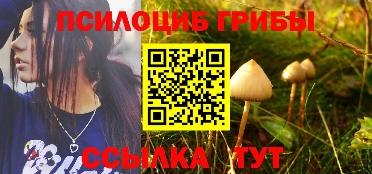 продажа наркотиков  Вход с VPN  Йошкар-Ола  Галлюциногенные грибы Psilocybine cubensis 